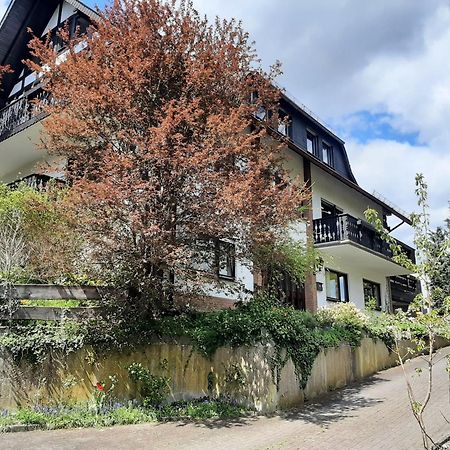 Ferienwohnung Bergblick Hallenberg Eksteriør billede