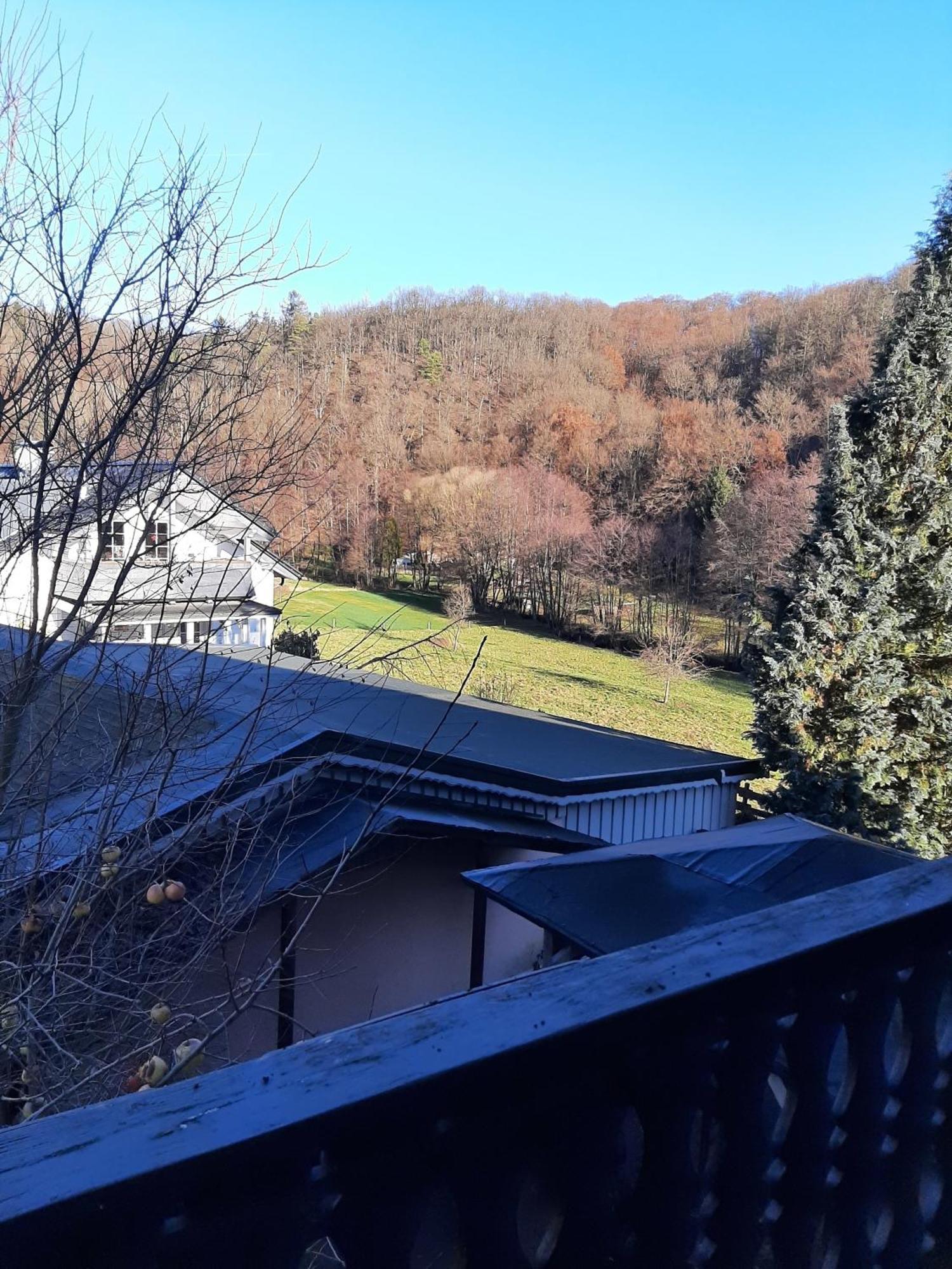 Ferienwohnung Bergblick Hallenberg Eksteriør billede